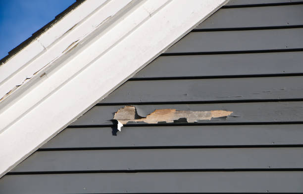 Trusted San Martin, CA Junk Removal Experts